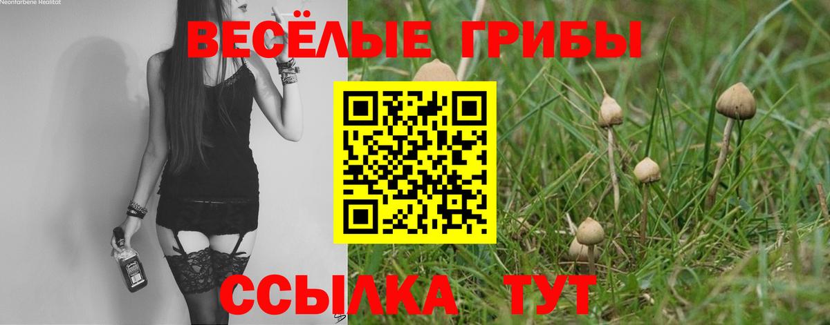 Галлюциногенные грибы MAGIC MUSHROOMS Череповец